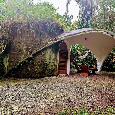 Danta Corcovado Lodge Rincón Extérieur photo
