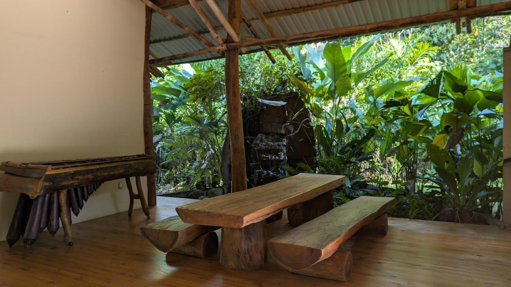 Danta Corcovado Lodge Rincón Extérieur photo