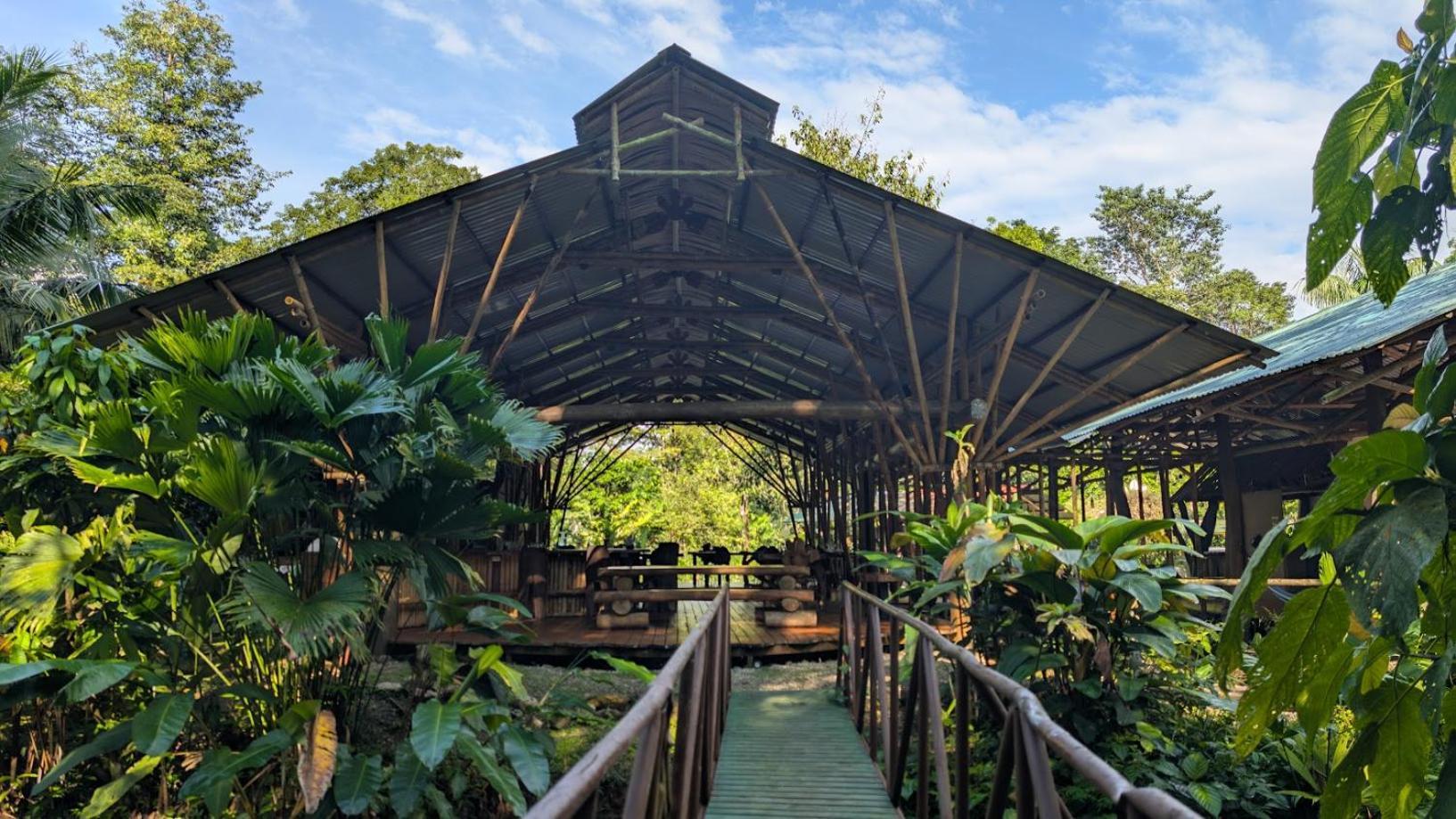 Danta Corcovado Lodge Rincón Extérieur photo