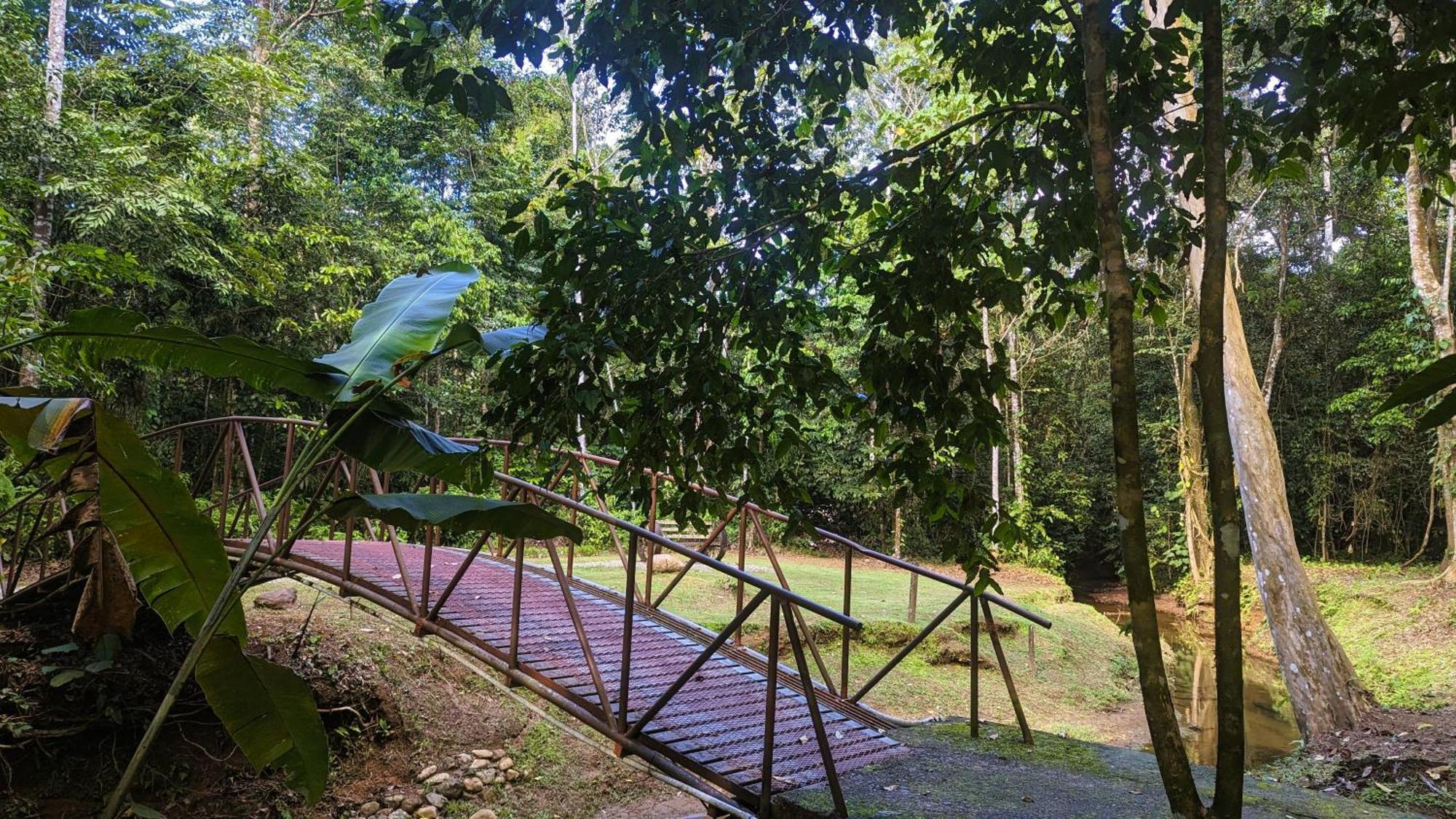 Danta Corcovado Lodge Rincón Extérieur photo
