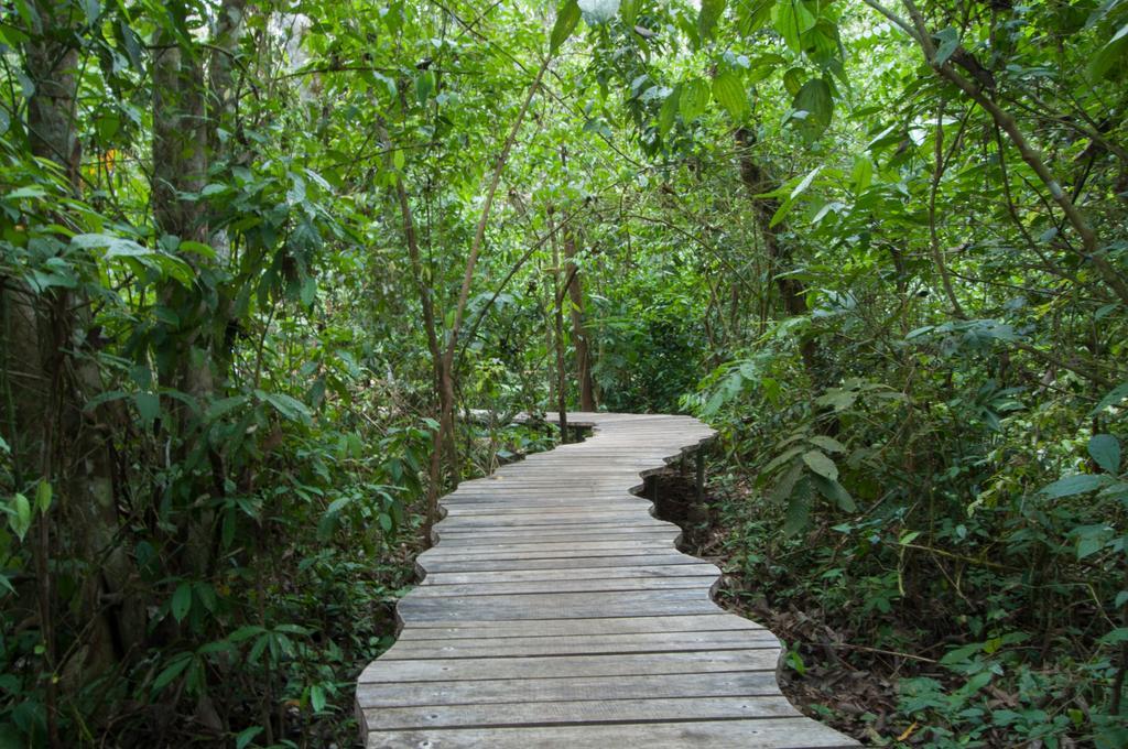 Danta Corcovado Lodge Rincón Extérieur photo