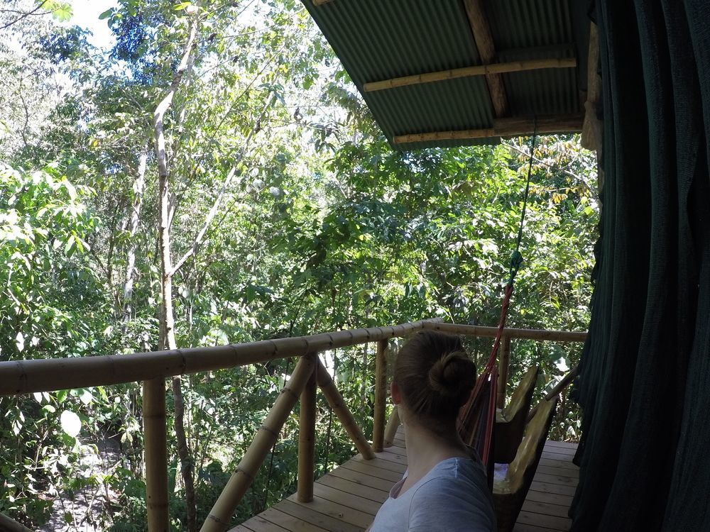 Danta Corcovado Lodge Rincón Extérieur photo