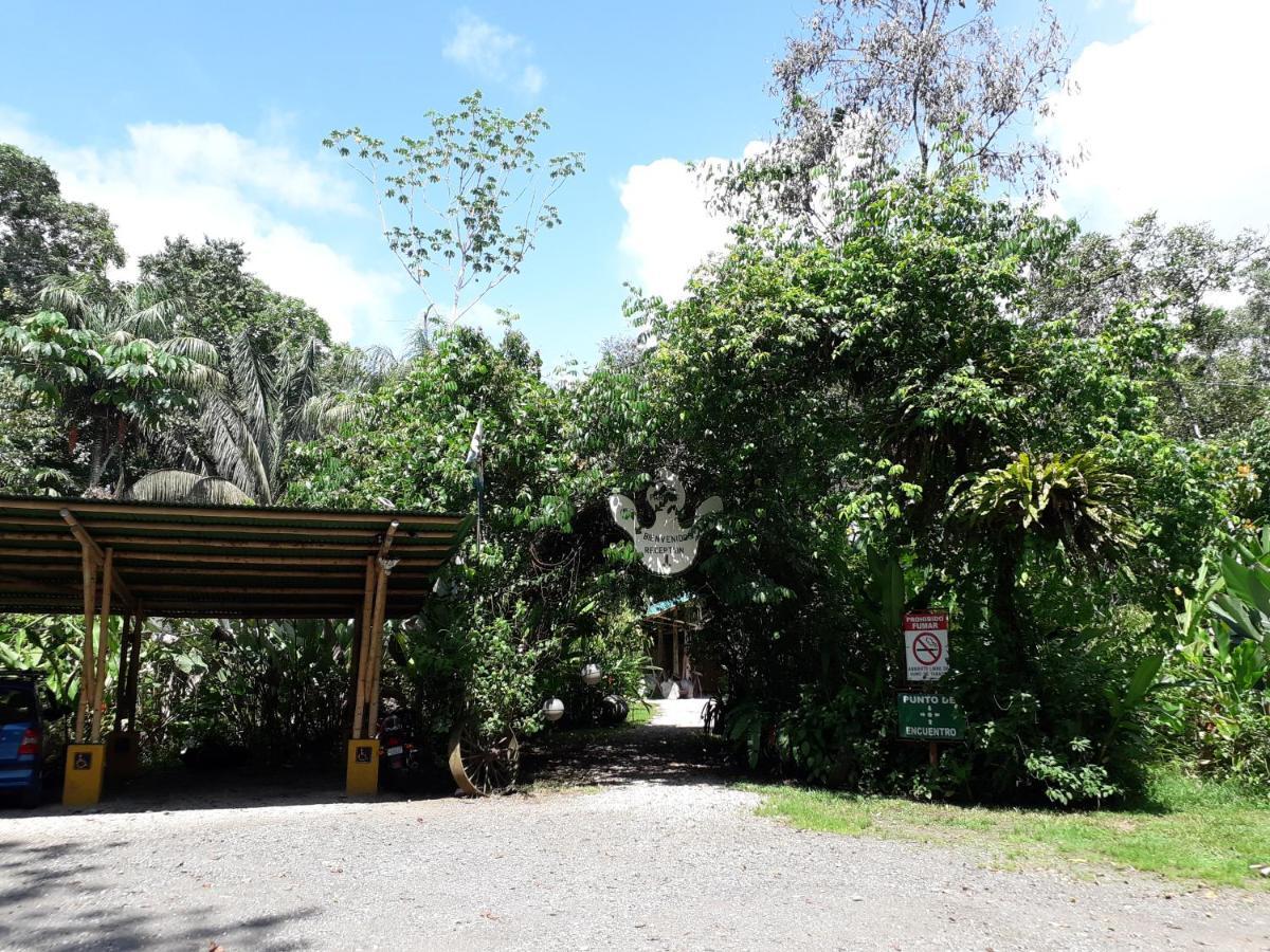 Danta Corcovado Lodge Rincón Extérieur photo