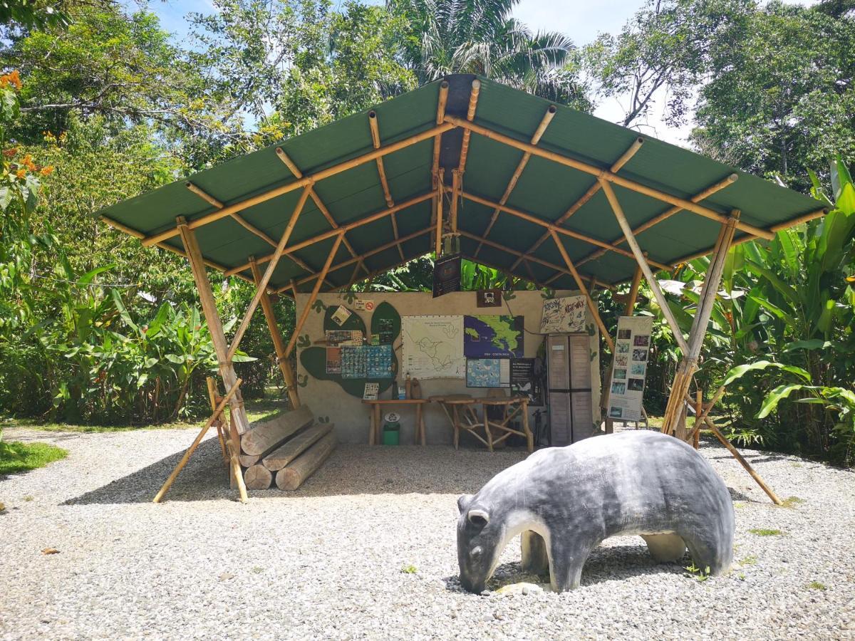 Danta Corcovado Lodge Rincón Extérieur photo